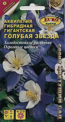 Аквилегия Голубая звезда гигантская гибридная