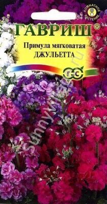 Примула Джульетта , мягковатая* 10 шт. Н14