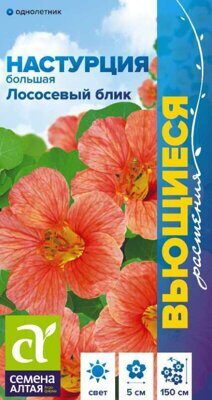 Настурция Лососевый Блик большая/Сем Алт/цп 0,5 гр. Вьющиеся растения