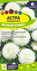 Астра Белый Ковер низкорослая/Сем Алт/цп 0,1 гр.