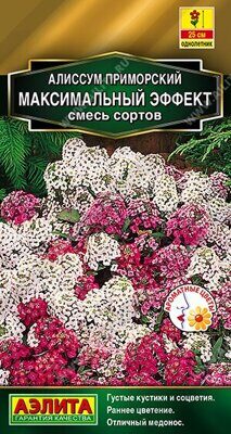 Алиссум Максимальный эффект, смесь сортов
