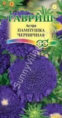 Астра Пампушка черничная 0,3 г Н12