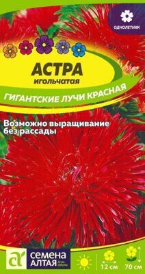 Астра Гигантские лучи Красная/Сем Алт/цп 0,2 гр.