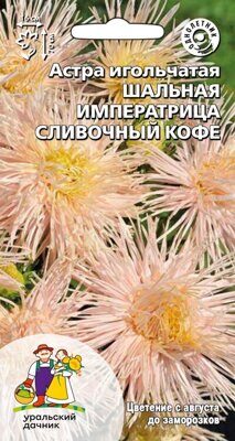 Астра игольчатая Шальная императрица сливочный кофе (УД) Е/П