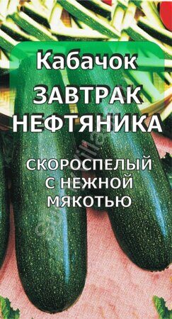 Кабачок